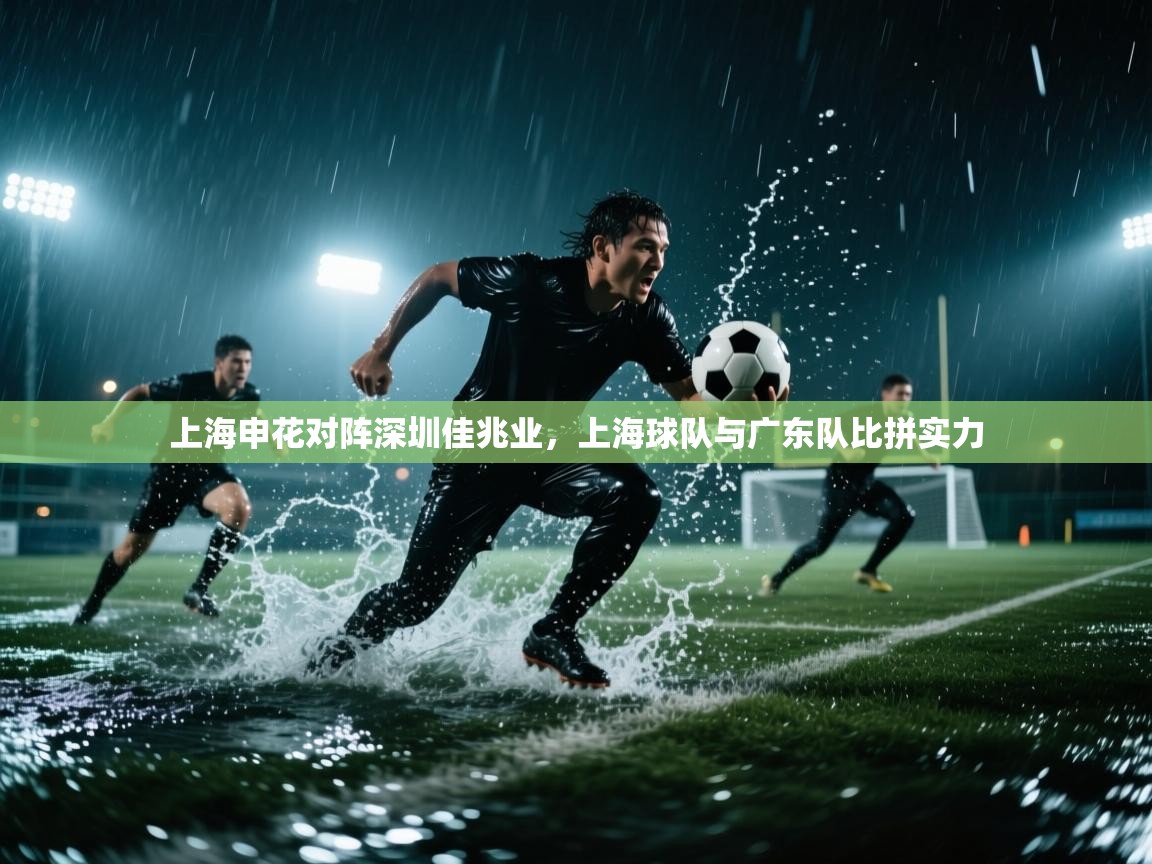 上海申花对阵深圳佳兆业，上海球队与广东队比拼实力  第2张