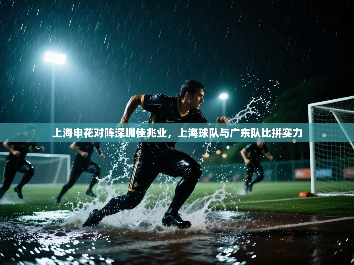 上海申花对阵深圳佳兆业，上海球队与广东队比拼实力  第1张