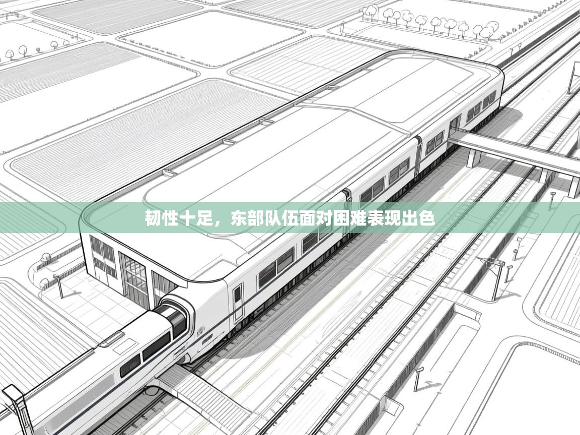 韧性十足，东部队伍面对困难表现出色  第1张